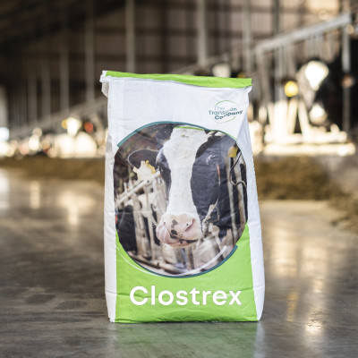 Clostrex