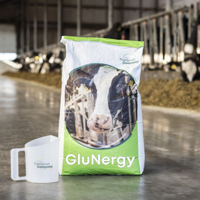 GluNergy