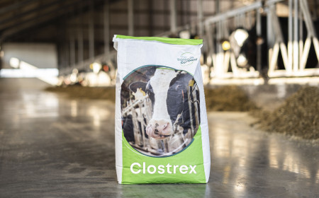 TheTransitionCompany introduceert Clostrex; voor aanpak van Clostridiën